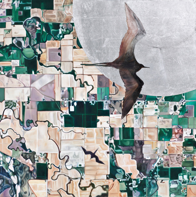 Pia Dehne, ‘Case File A5, Category Birds and Reflections’, 2013, Anna Jill Lüpertz Gallery