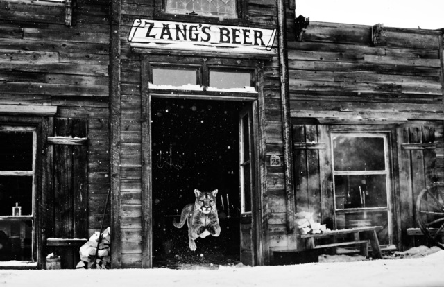 David Yarrow, ‘The Wild West’, 2015, Hilton Asmus
