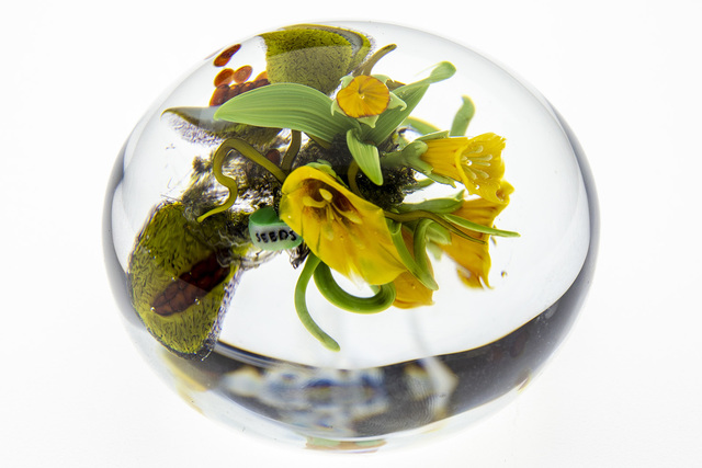 Paul Stankard, ‘Paperweight, Seeds yellow Lillys w/wildflowers & Bursting seed pod’, 1997, Modern Artifact