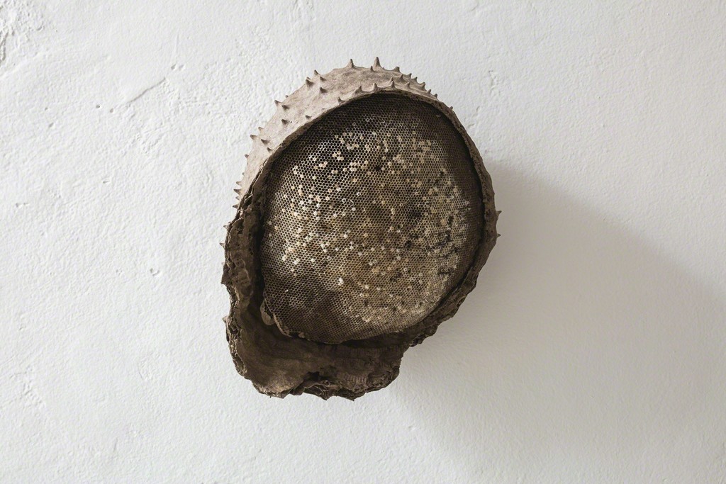Adriano Amaral - "Rurais" exhibition view, Galeria Jaqueline Martins, 2017 Adriano Amaral - "Rurais" exhibition view, Galeria Jaqueline Martins, 2017