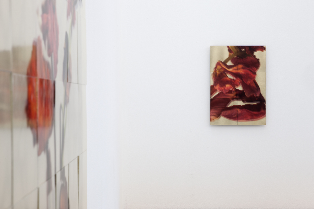 Exhibition view with 'Mohn II' (detail) and 'Untitled'; photo: Lukas Heibges Exhibition view with 'Mohn II' (detail) and 'Untitled'; photo: Lukas Heibges