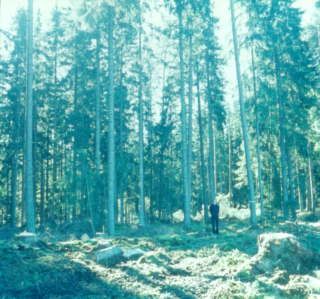 Bas Jan Ader, ‘Untitled (Swedish Fall)’, 1971/2003, Photography, 2 C-type prints, Meliksetian | Briggs