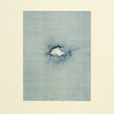 Ann Hamilton, script b (2008)