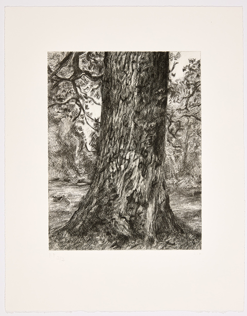 Lucian Freud, ‘After Constable's Elm’, 2003, Print, Etching, Marlborough London