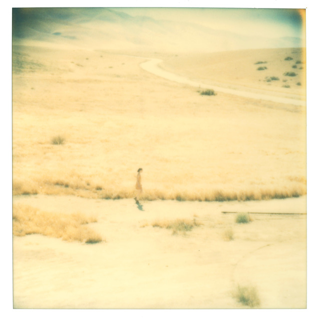 Stefanie Schneider, ‘Untitled’, 2004, Photography, Analog C-Print, hand-printed by the artist on Fuji Crystal Archive Paper, based on a Polaroid, not mounted, Instantdreams