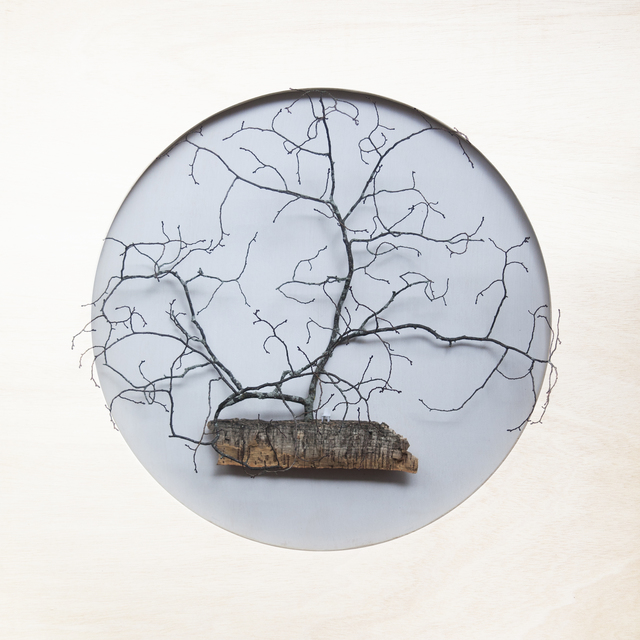 María Ángeles Atauri, ‘Bubble. Chair and big tree’, 2021, Sculpture, Natural materials on plastic, Galería Marita Segovia