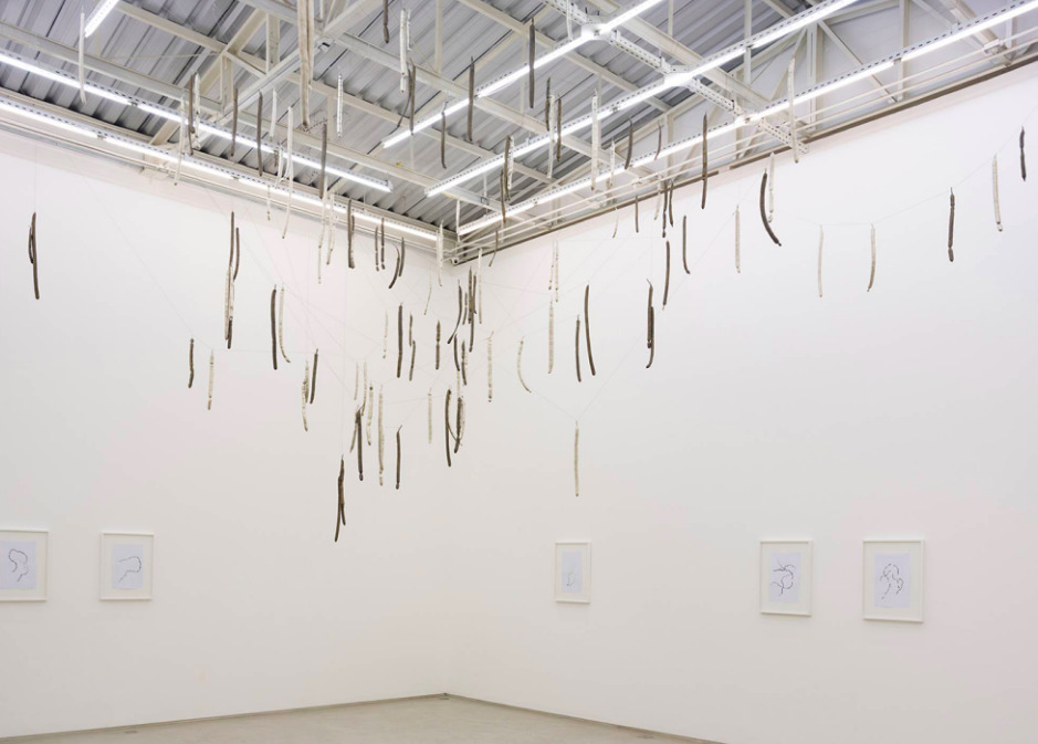 Daniel Steegmann Mangrané, Mendes Wood DM São Paulo, 2018 Daniel Steegmann Mangrané, Mendes Wood DM São Paulo, 2018