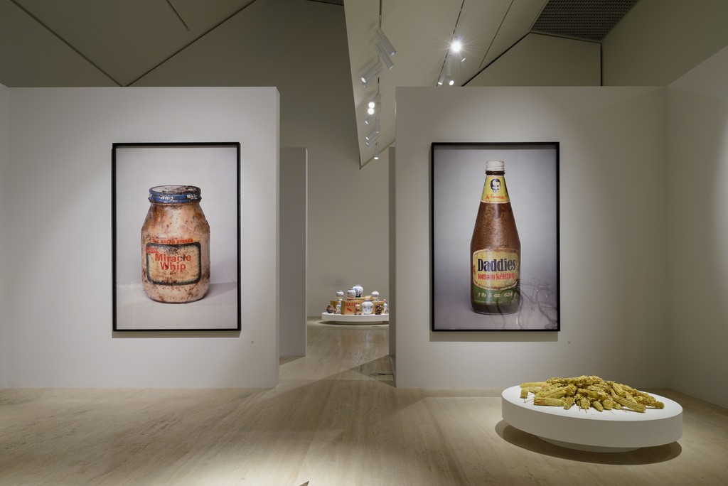 Installation view of “The Natural Order of Things” at Museo Jumex, Mexico City (2016). Photo by Moritz Bernoully. Installation view of “The Natural Order of Things” at Museo Jumex, Mexico City (2016). Photo by Moritz Bernoully.