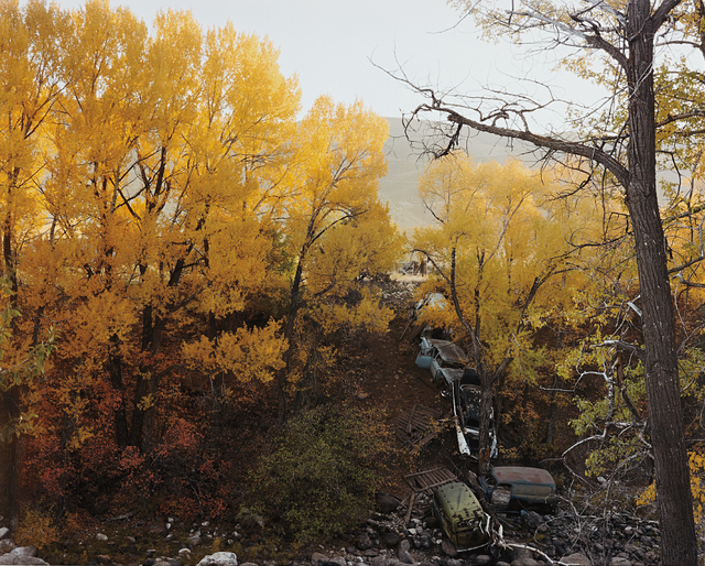 Joel Sternfeld, ‘Near Vail, Colorado, October 1980’, Photographed in 1980 and printed in 2004, Phillips