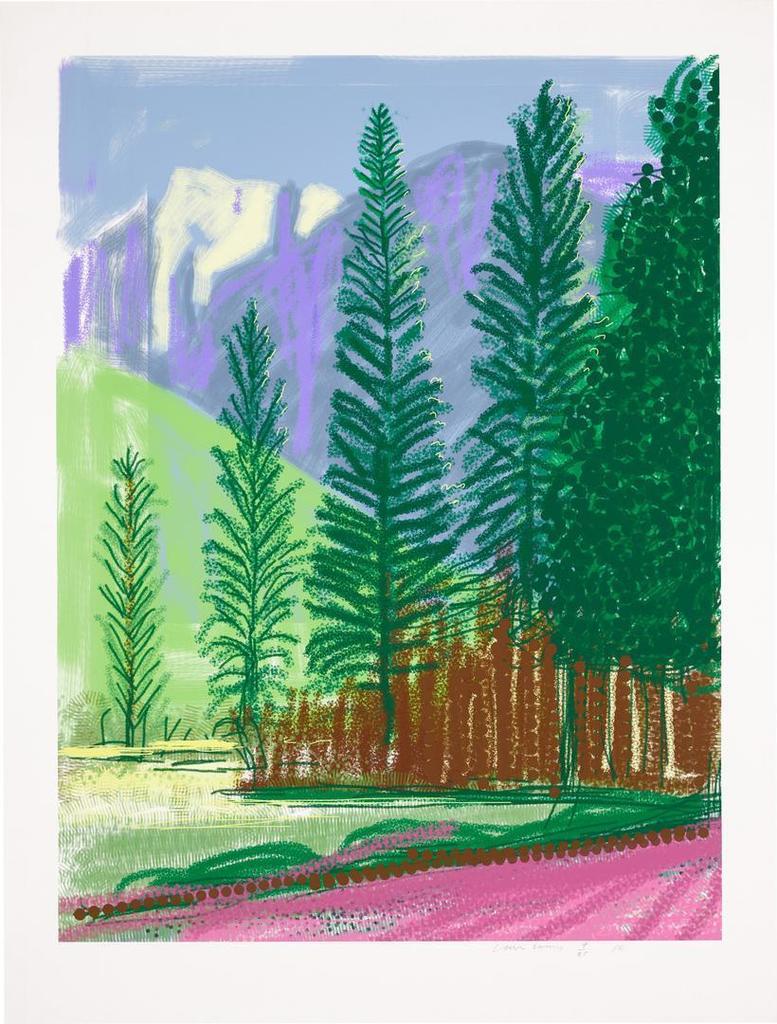 David Hockney - UNTITLED NO. 12