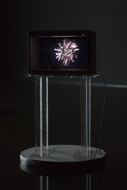 Cécile B. Evans, ‘Handy if you're learning to fly II’, 2016, Barbara Seiler