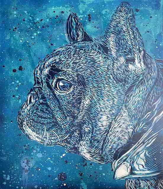 C215, ‘Lili’, 2017, Mazel Galerie