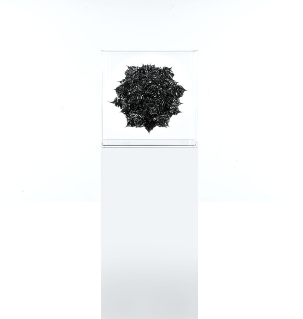 Polle (black)
