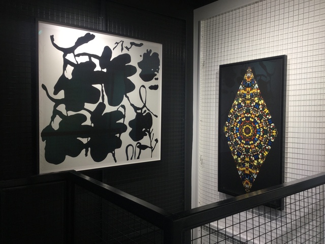 Donald Sultan, ‘Lantern Flowers, Black and White FRAMED’, 2017, Joseph Fine Art LONDON