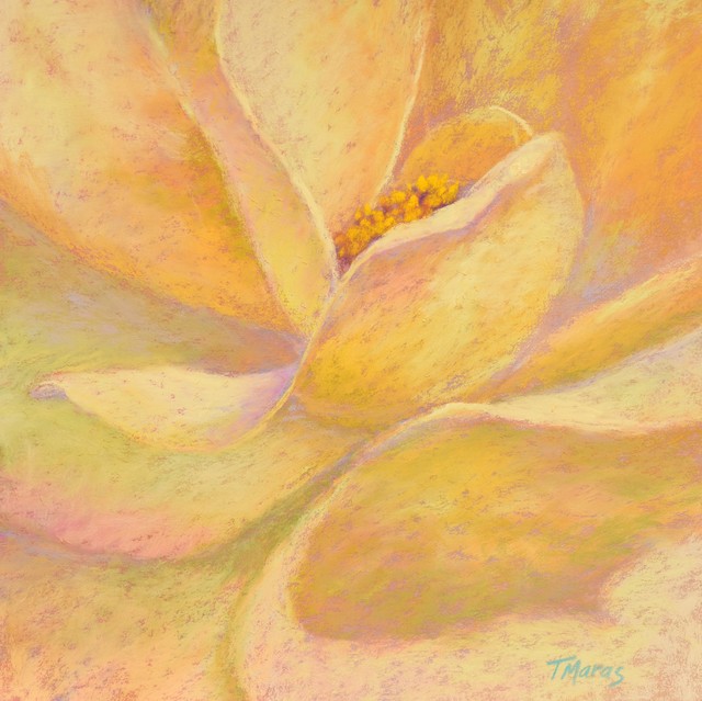 Tracey Maras, ‘Rose Glow II’, 2019, Springfield Art Association