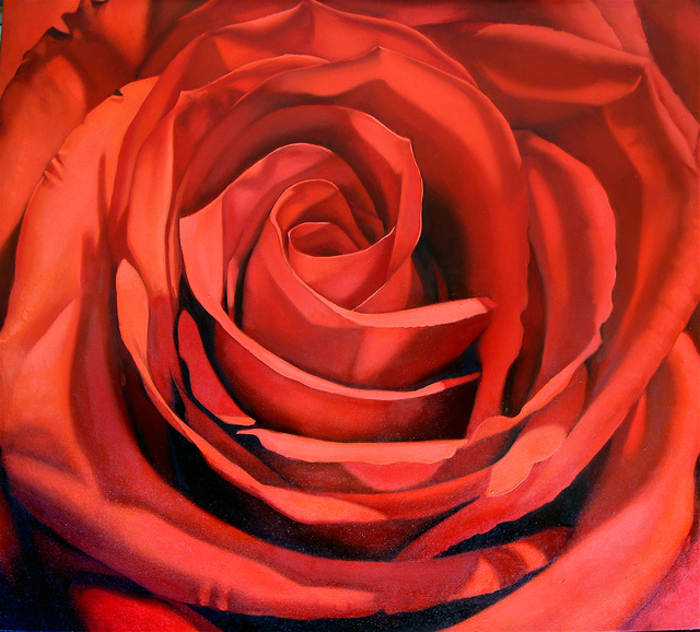 Margaret Morrison, ‘Red Rose’, 2008, Woodward Gallery