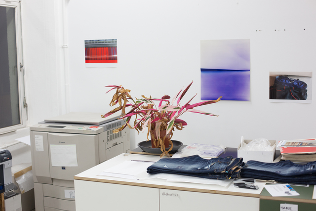 Wolfgang Tillmans, ‘Plant life, c’, 2013, Outset Benefit Auction