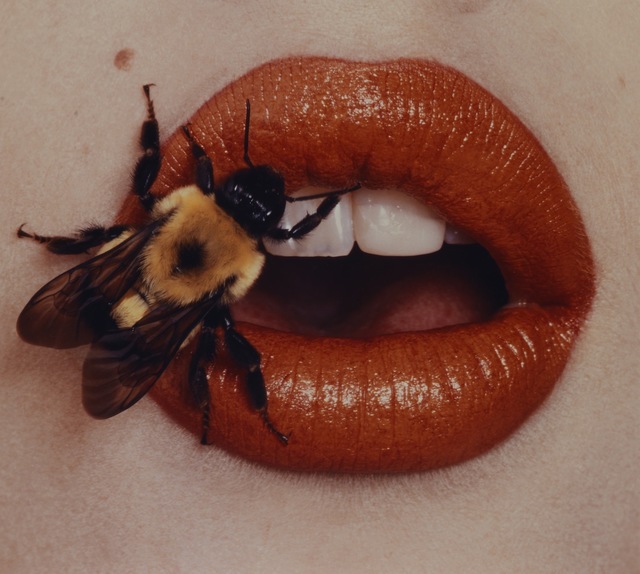 Irving Penn, ‘Bee, New York’, 1995-printed 2001, Smithsonian American Art Museum