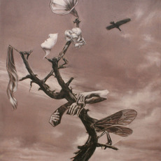 Cris Brodahl