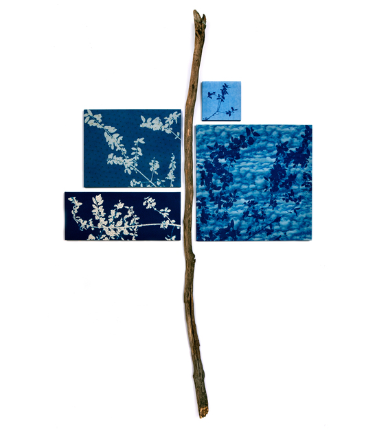 Susan Weil, ‘Leafing Blue’, 2019, Photography, Cyanotype on canvas, wood, Sundaram Tagore Gallery