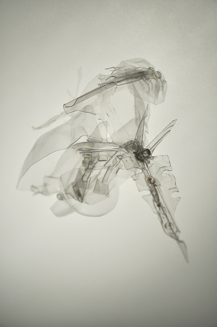 Laurent Lamarche, ‘Translucida Organidée (échantillons 3’, 2009, Art Mûr