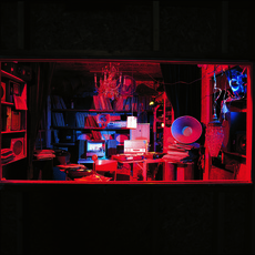 Janet Cardiff & George Bures Miller