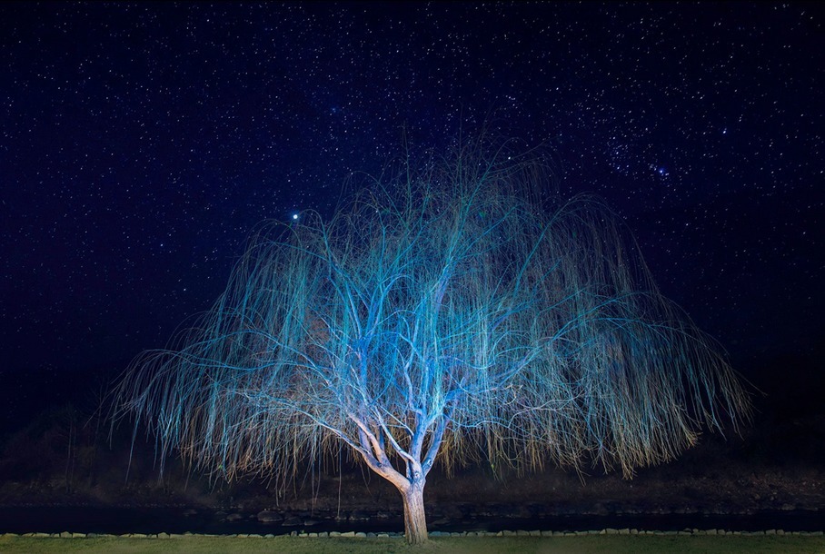 BETINA SAMAIA
Sem título (Noturnos), 2014
Impressão jato de tinta sobre papel algodão montada em caixa de luz
150 x 225 x 15 cm
Tiragem de 5 + 2 P.A. BETINA SAMAIA
Sem título (Noturnos), 2014
Impressão jato de tinta sobre papel algodão montada em caixa de luz
150 x 225 x 15 cm
Tiragem de 5 + 2 P.A.