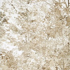 Emily Brown (b. 1943)