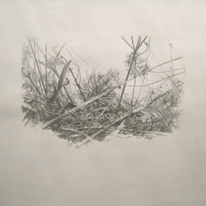 Peter Anders