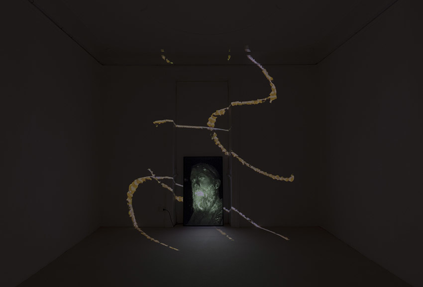 Karthik Pandian, Tamil Man, 2018, Federica Schiavo Gallery, ph A. Rossetti Karthik Pandian, Tamil Man, 2018, Federica Schiavo Gallery, ph A. Rossetti