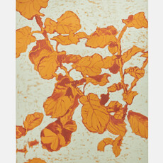 Ximena Maldonado, Untitled (2023)