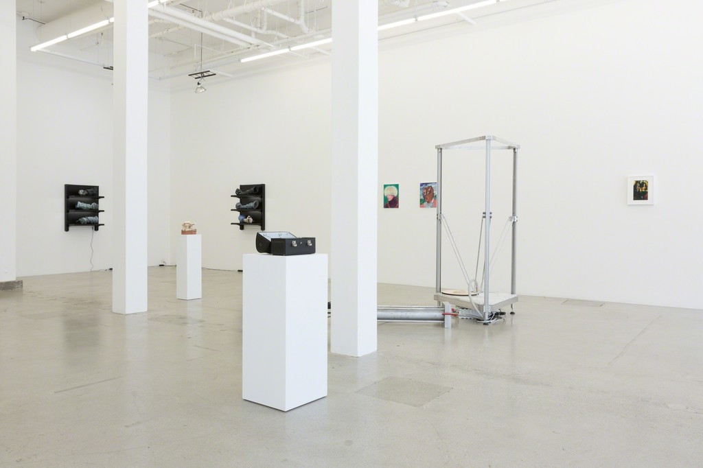 Installation view
The Politics of Portraiture Installation view
The Politics of Portraiture