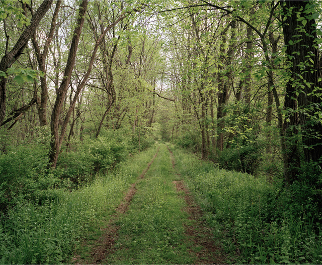 Jeff Brouws, ‘Railroad Landscape #3, Poughkeepsie and Eastern Right-of-Way, (Abandoned 1938), MP 92, View South, Sprint, McIntyre, New York’, 2009, Robert Mann Gallery