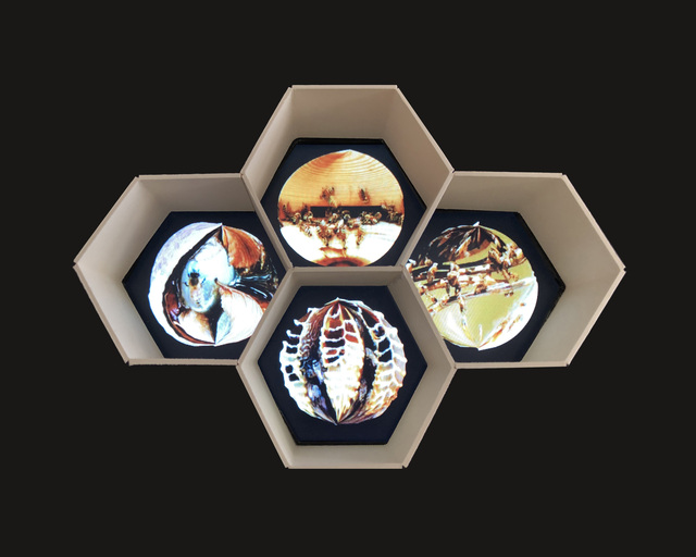 image-zoom