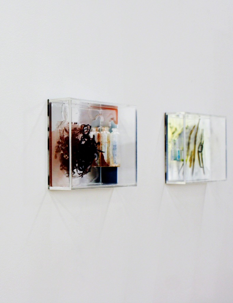Installation View, Janet Laurence 'Works from the Kimberly trip' Installation View, Janet Laurence 'Works from the Kimberly trip'
