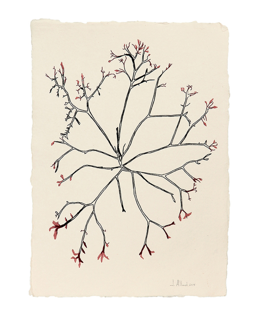 Johanne Allard, ‘Seaweed’, 2014, Drawing, Collage or other Work on Paper, Embroidery on paper, Artscoops