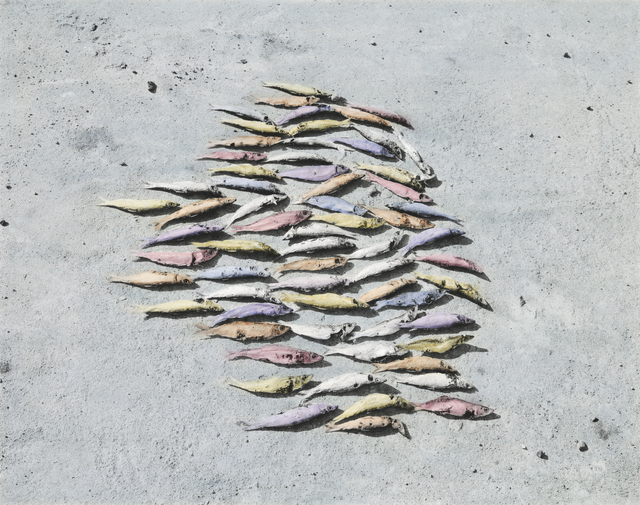 Vasantha Yogananthan, ‘Magic Fishes’, 2013, Photography, Black and white c-type print, hand-painted, The Photographers' Gallery | Print Sales