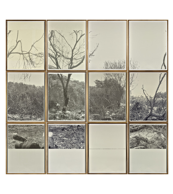 Jerry B. Martin, ‘S/T (Mestoria)’, 2013-2015, Revolver Galería