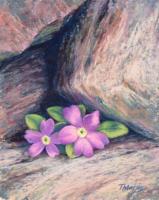 Tracey Maras, ‘Indomitable ’, 2020, Painting, Pastel, Springfield Art Association