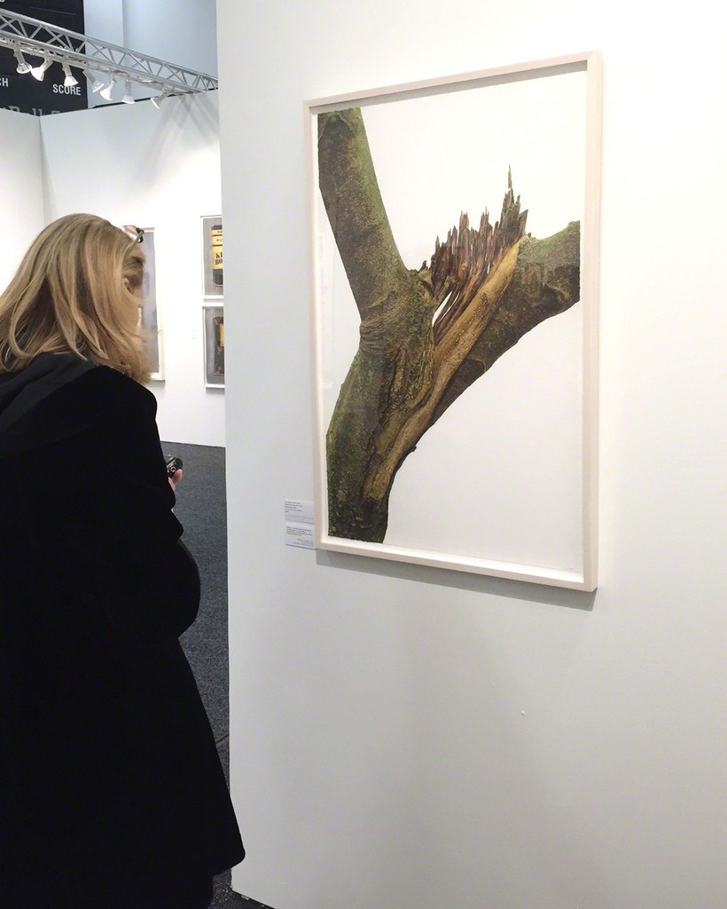 David Morrison's latest drawing (colored pencil) installed in the Art On Paper booth. David Morrison's latest drawing (colored pencil) installed in the Art On Paper booth.