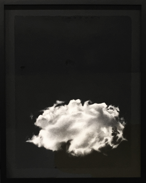 Sarah Reynolds, ‘Offspring 4’, 2016, Cheryl Hazan Gallery