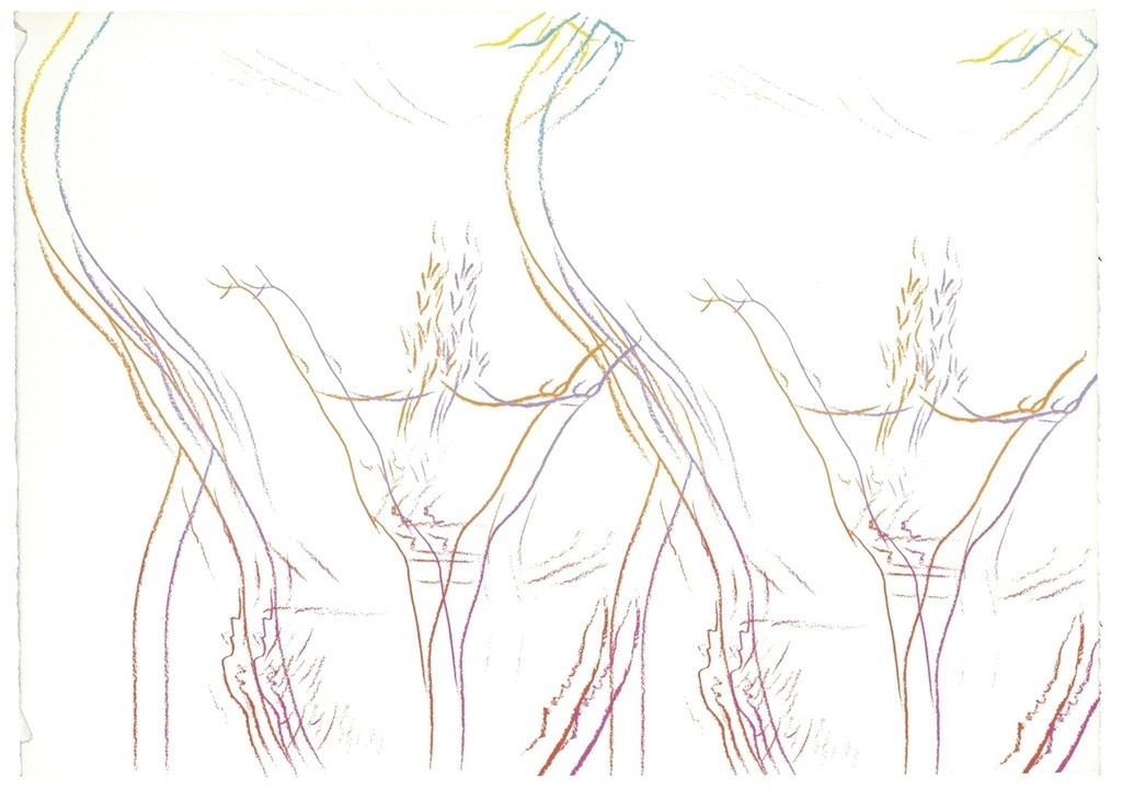 Andy Warhol - Torso (Double) (see F. &amp; S. IIIA.35)