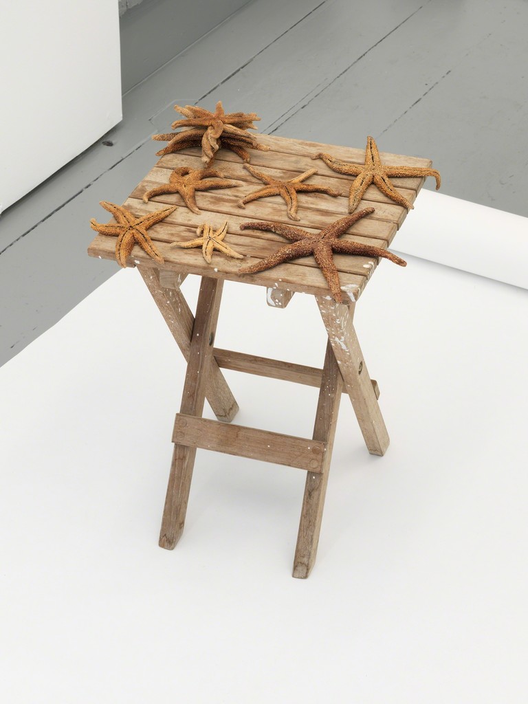 Petra Feriancová, Mino’s Collection, 2013.
Photo by Original&theCopy.
Courtesy of the artist and Tenderpixel. Petra Feriancová, Mino’s Collection, 2013.
Photo by Original&theCopy.
Courtesy of the artist and Tenderpixel.