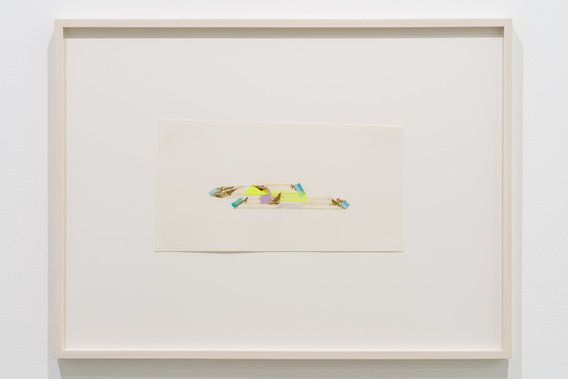 Tetsuro Kano, ‘Practice surveying’, 2017, Yuka Tsuruno Gallery
