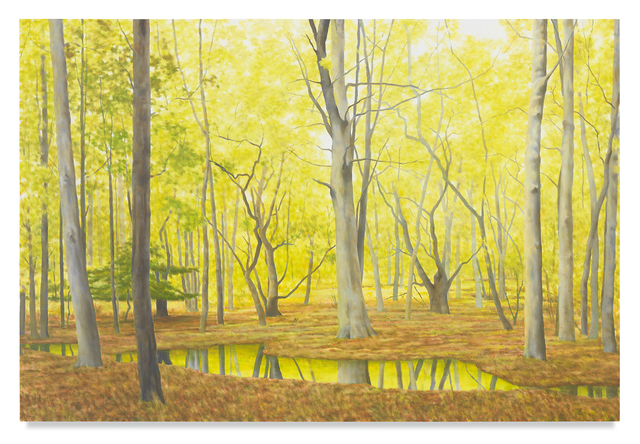 April Gornik, ‘Spring Light and Still Water’, 2016, Painting, Oil on linen, Miles McEnery Gallery