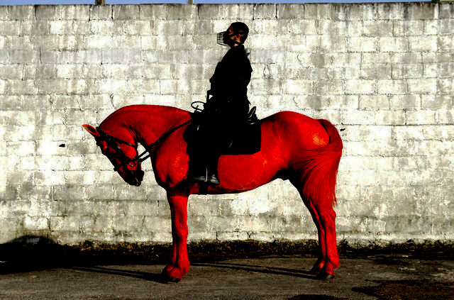 Berna Reale, ‘Palomo’, 2013, TNT Arte