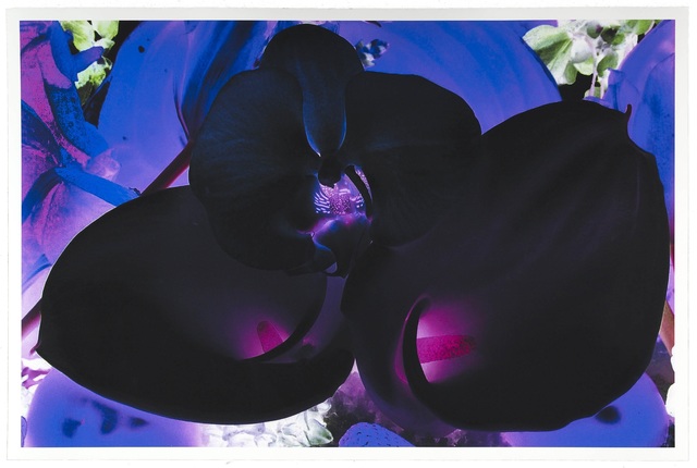 Marc Quinn, ‘At the Far Edges of the Universe 6 ’, 2010, Maddox Gallery