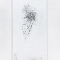 Peter Senoner