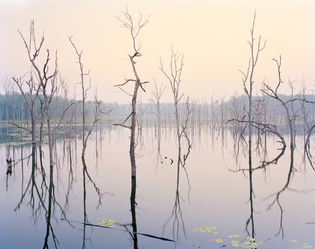 Vasantha Yogananthan, ‘Hidden Lake’, 2017, The Photographers' Gallery