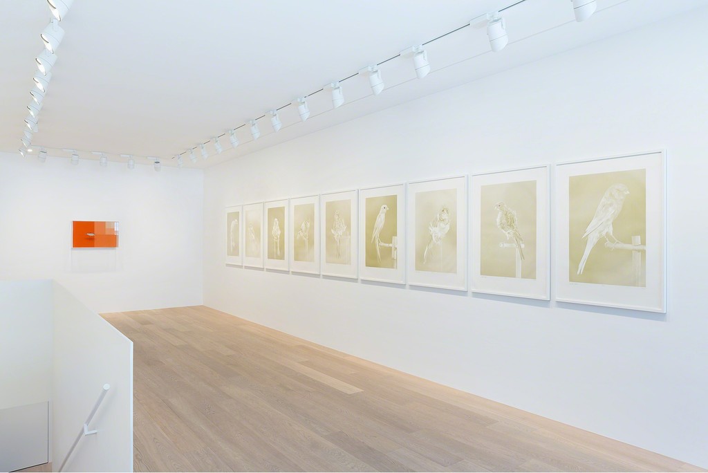 Photo by Guillaume Mausset. All artwork © Carsten Höller. Courtesy Gagosian Gallery. Photo by Guillaume Mausset. All artwork © Carsten Höller. Courtesy Gagosian Gallery.